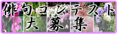 俳句コンテスト