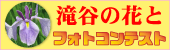 フォトコンテスト