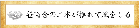 第2位花しょうぶ賞