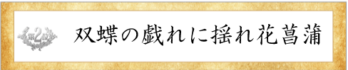 第2位花しょうぶ賞
