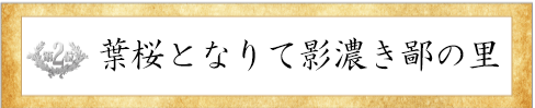 第2位花しょうぶ賞
